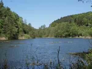 Povodí Pšovky - rybník Kačírek