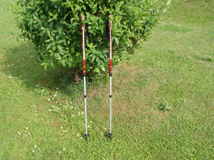 Nordic walking